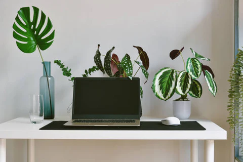 Small Space, Big Style: Fake Plants for Desk Ideas That Transform Your Workspace