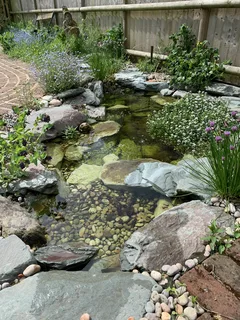 Top Benefits of Professional Pond Cleaning in Surrey for a Healthy Garden